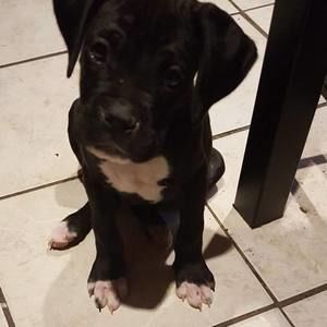 Meet your Posher, Sandy